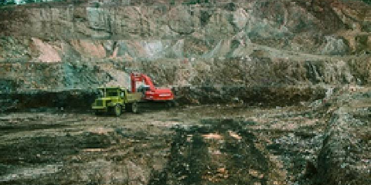 Illegally Mined Minerals
