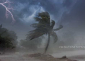 Gusty Winds