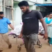 Bhadrak DHH