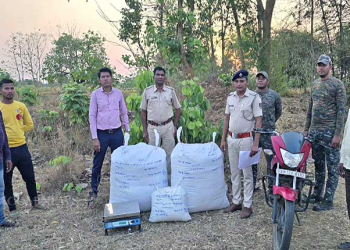 257 Kg Of Ganja