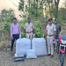 257 Kg Of Ganja