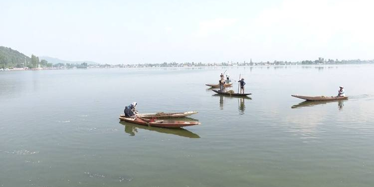 Jammu and Kashmir