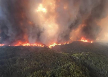 Wildfire Smoke