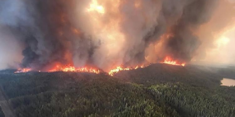 Wildfire Smoke