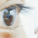Contact Lenses
