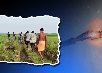 Farmer Electrocuted