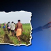 Farmer Electrocuted