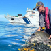 Olive Ridley Turtles