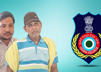 Revenue Inspector, Aide
