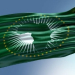 African Union.