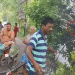 Bee Attack In Cuttack