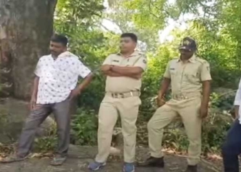 Sexual Assault In Gajapati