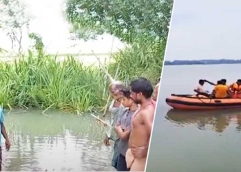 Crocodile Attack