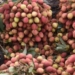 Rose-Scented Litchis