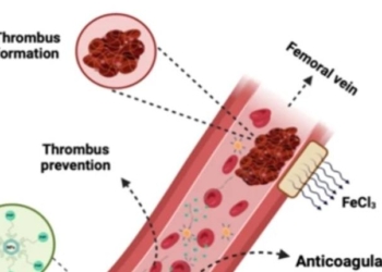 Blood Clotting