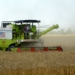 India’s Agriculture