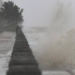 Typhoon Wutip