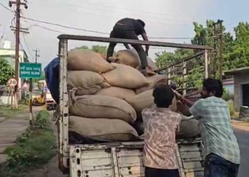 Gutka Raw Materials