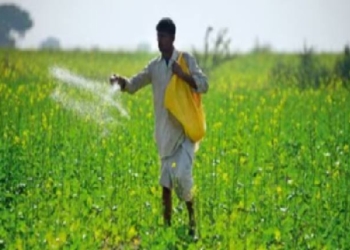 Paddy Procurement