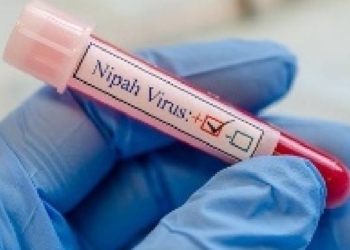 Nipah positive