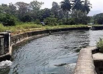 PAP Water