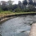 PAP Water