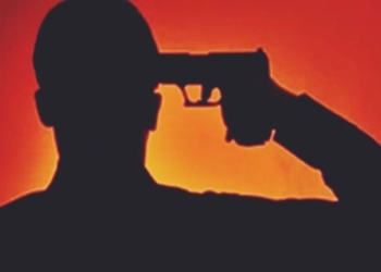 Shoots