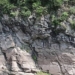 South Korea