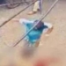 Brutal Murder