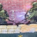 Assam Rifles