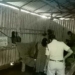 Woman Hacked To Death
