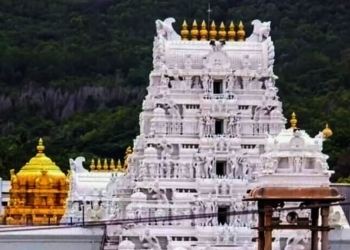 Tirumala Tirupati Devasthanams.(photo:Instagram)