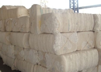 cotton