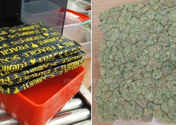 Marijuana Haul