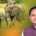 World Elephant Day 2025
