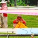 Handloom Weavers