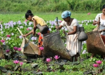 Assam And Tripura