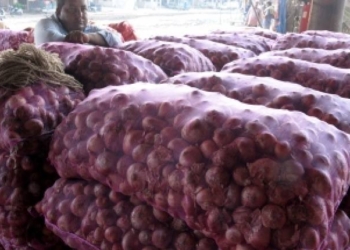 Onion