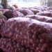 Onion
