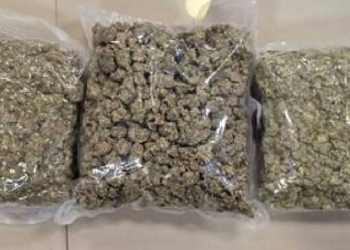 Weed Smuggling