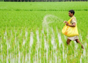 Urea Production