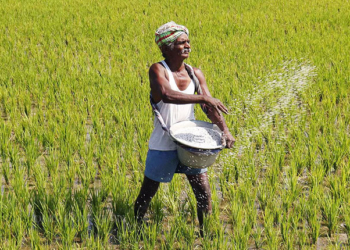 Fertilizer