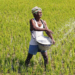 Fertilizer