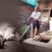 Septic Tank Incident