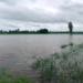 Amritsar: A view of the submerged area alongside the Ravi River as rescue operations continue at a village near Ramdas along the India–Pakistan international border, about 45 km from Amritsar, Monday, September 1, 2025. (IANS)