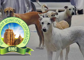 Street Dog Census