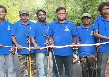 9-Foot King Cobra
