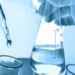 India’s Bioeconomy
