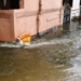 flood
