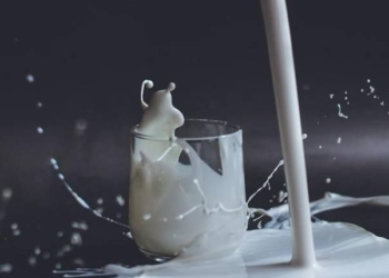 milk